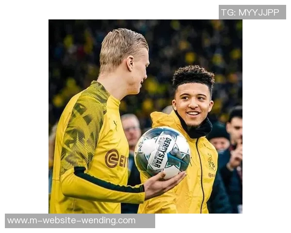 德甲联赛新赛季展望：豪门对决与新星崛起的精彩篇章