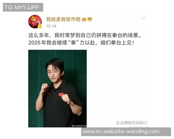 泰森与邹市明的巅峰对决：拳坛传奇的较量与启示