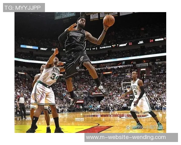 热火与山猫精彩对决直播全程回顾与赛后分析尽在此处